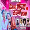 About Divana Pagal Karni Mala Song